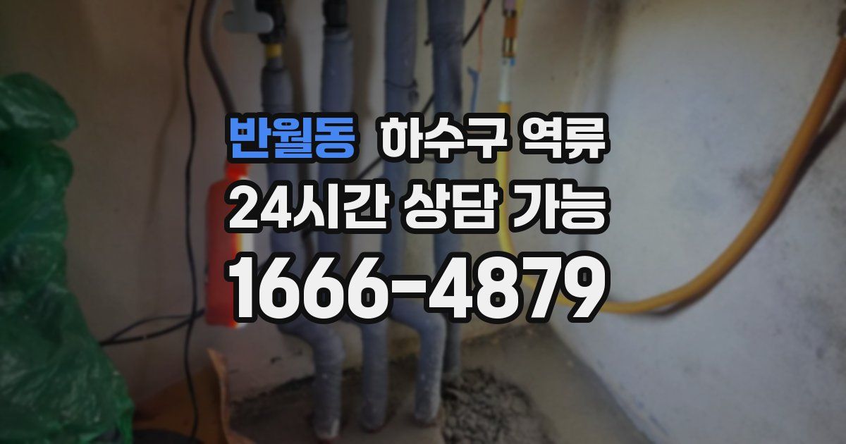 반월동 하수구 역류