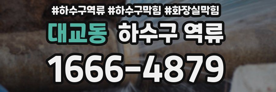 대교동 하수구 역류