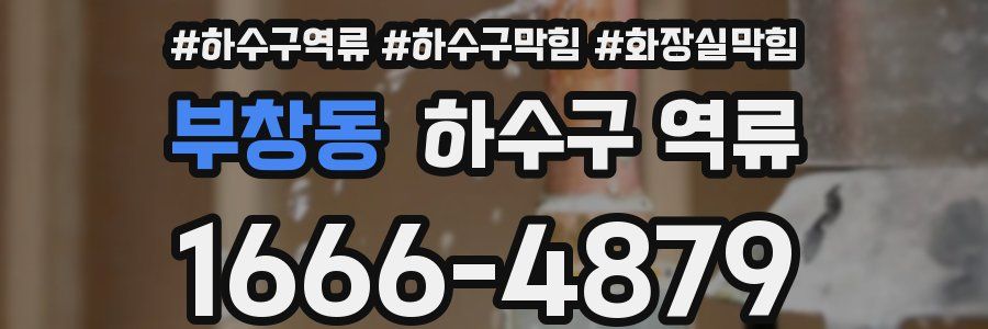 부창동 하수구 역류