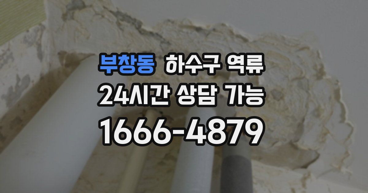 부창동 하수구 역류