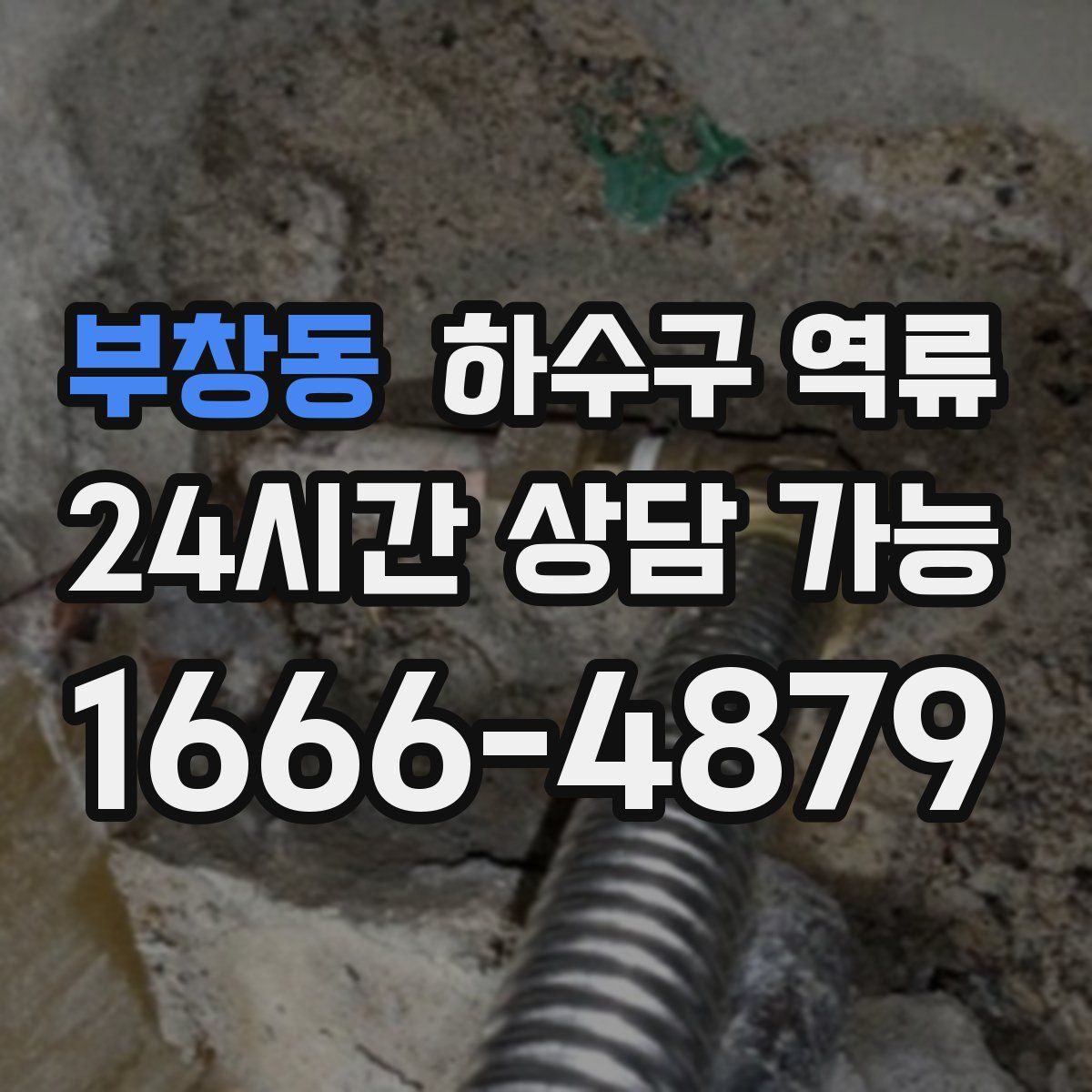 부창동 하수구 역류