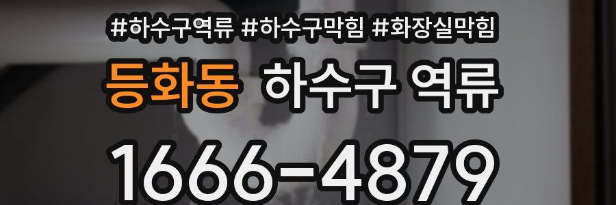 등화동 하수구 역류