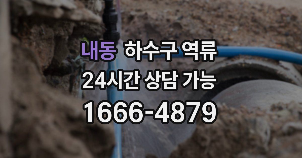 내동 하수구 역류