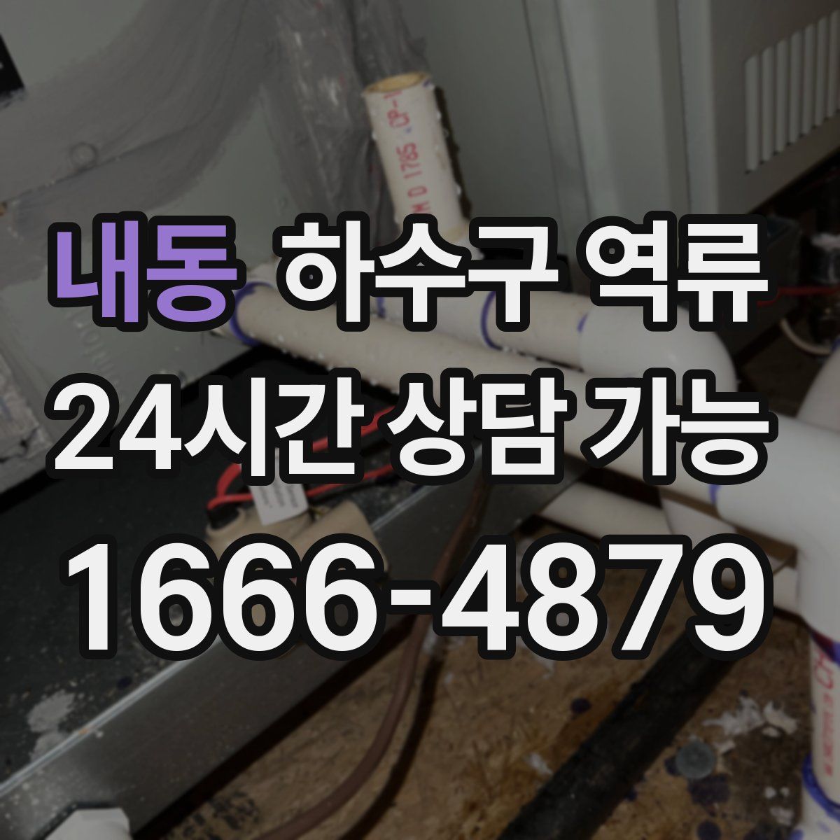 내동 하수구 역류