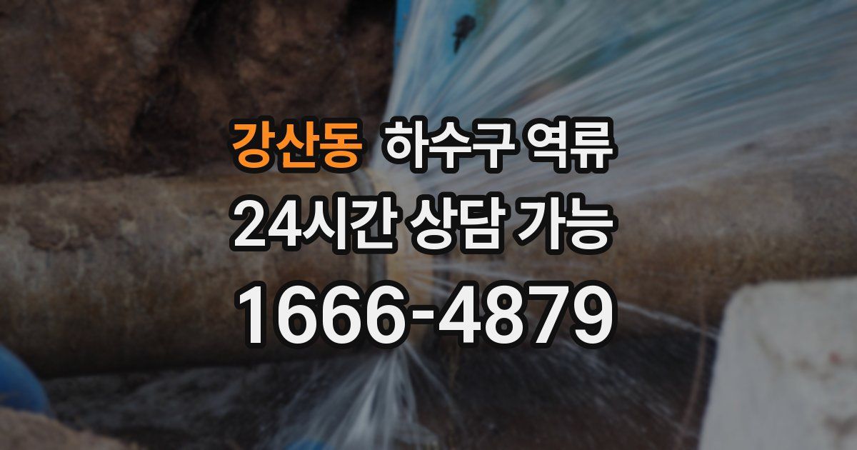 강산동 하수구 역류