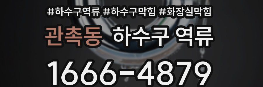 관촉동 하수구 역류