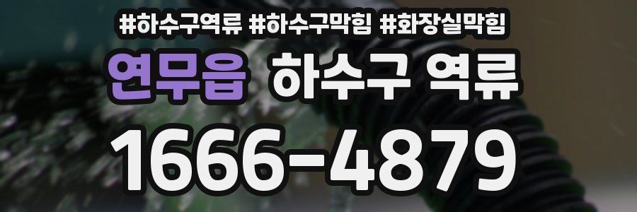 연무읍 하수구 역류