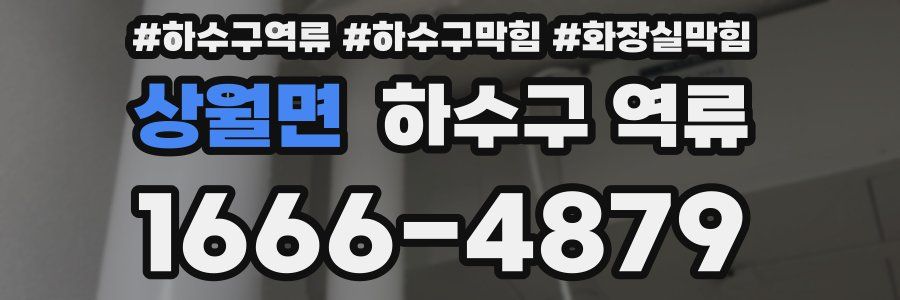 상월면 하수구 역류