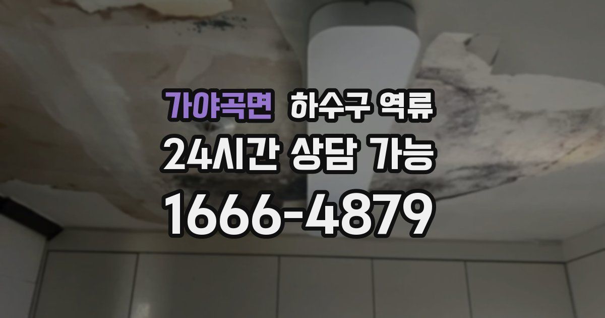 가야곡면 하수구 역류