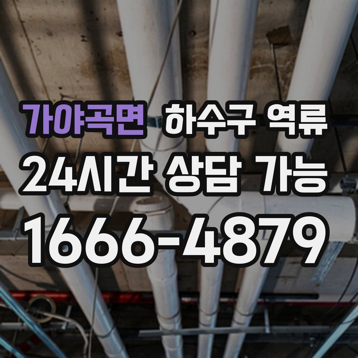 가야곡면 하수구 역류