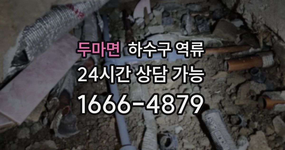 두마면 하수구 역류