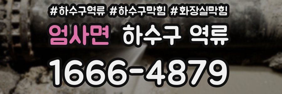 엄사면 하수구 역류