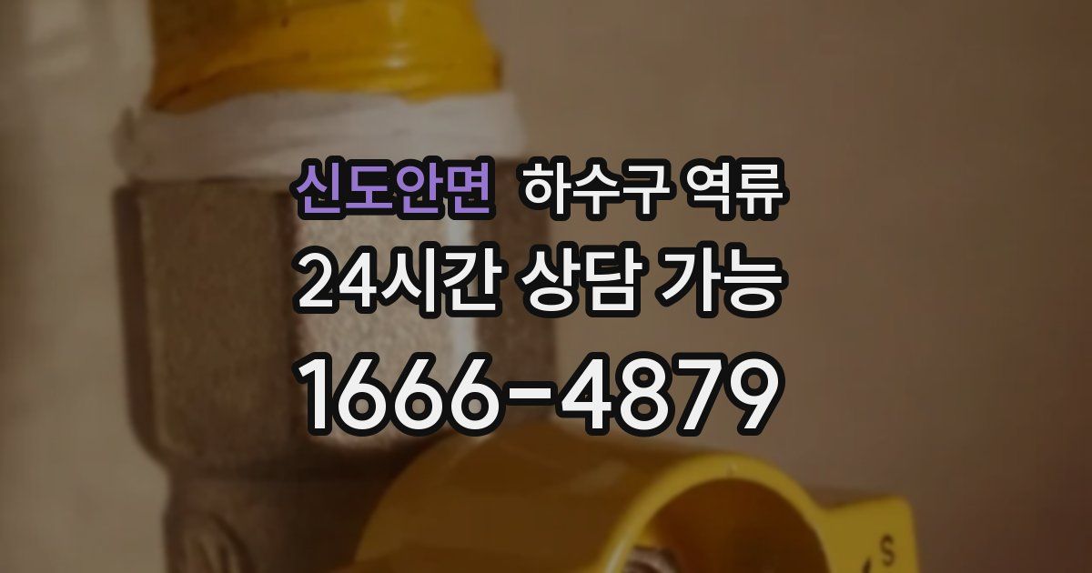 신도안면 하수구 역류