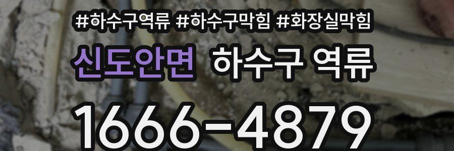 신도안면 하수구 역류