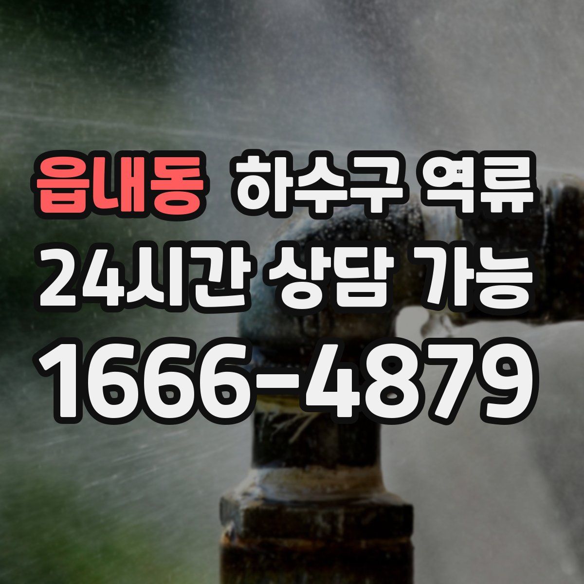 읍내동 하수구 역류