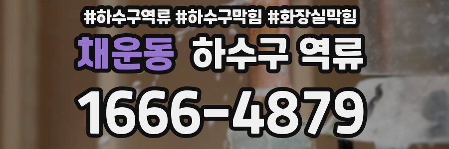 채운동 하수구 역류