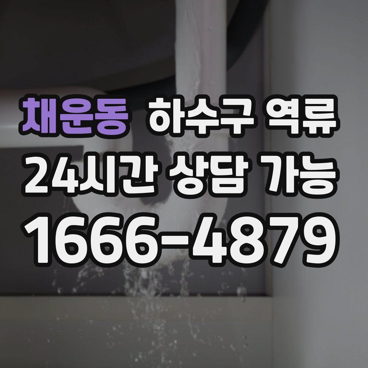 채운동 하수구 역류