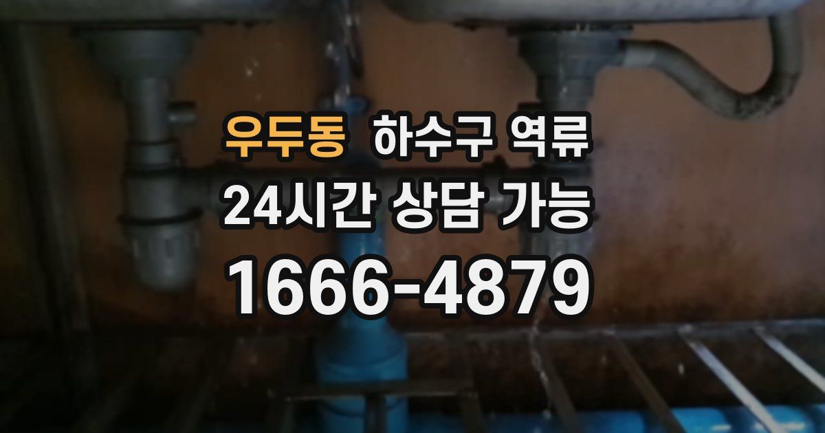 우두동 하수구 역류