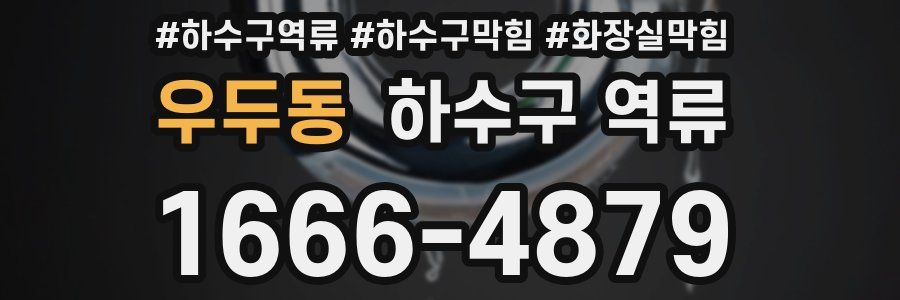 우두동 하수구 역류