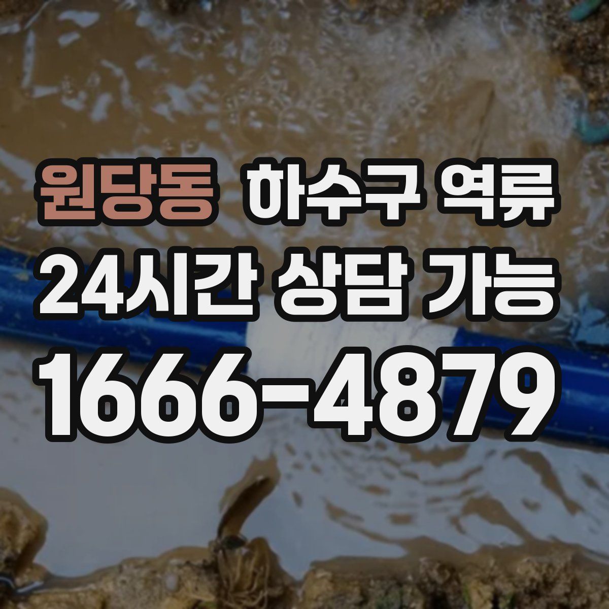 원당동 하수구 역류