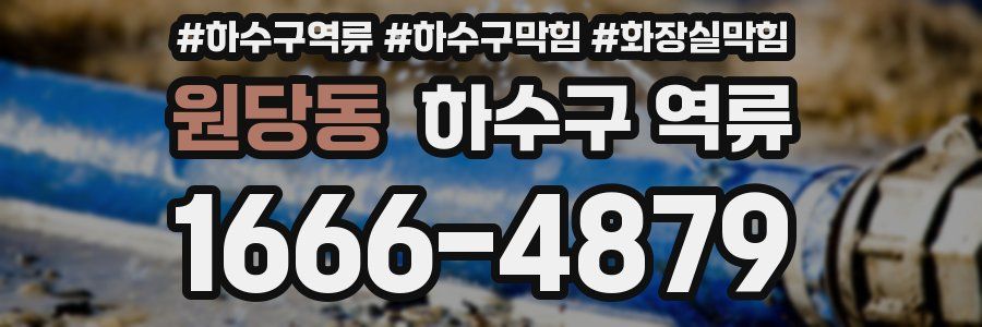 원당동 하수구 역류