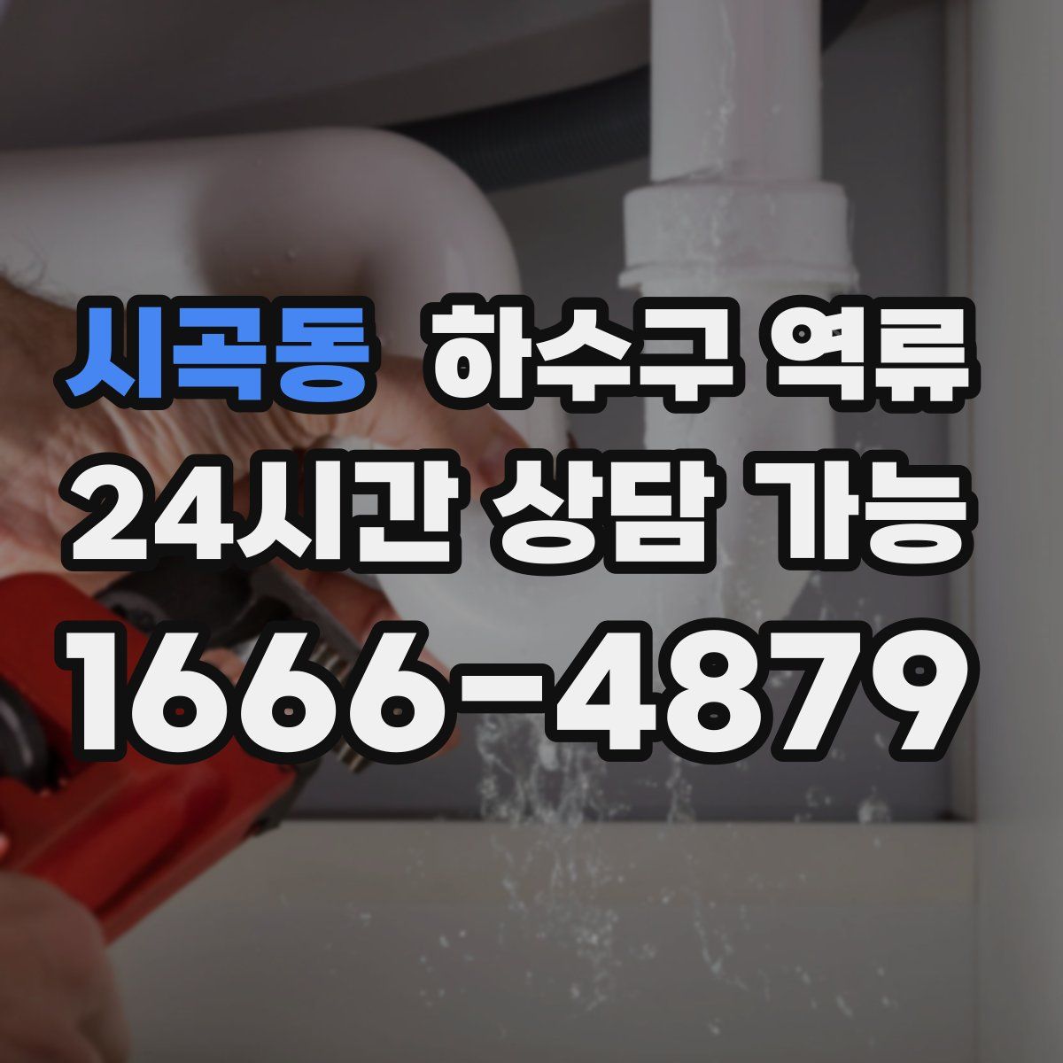 시곡동 하수구 역류