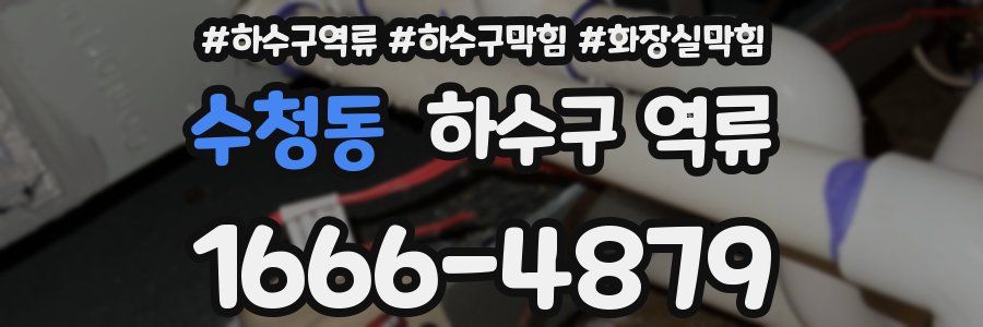 수청동 하수구 역류