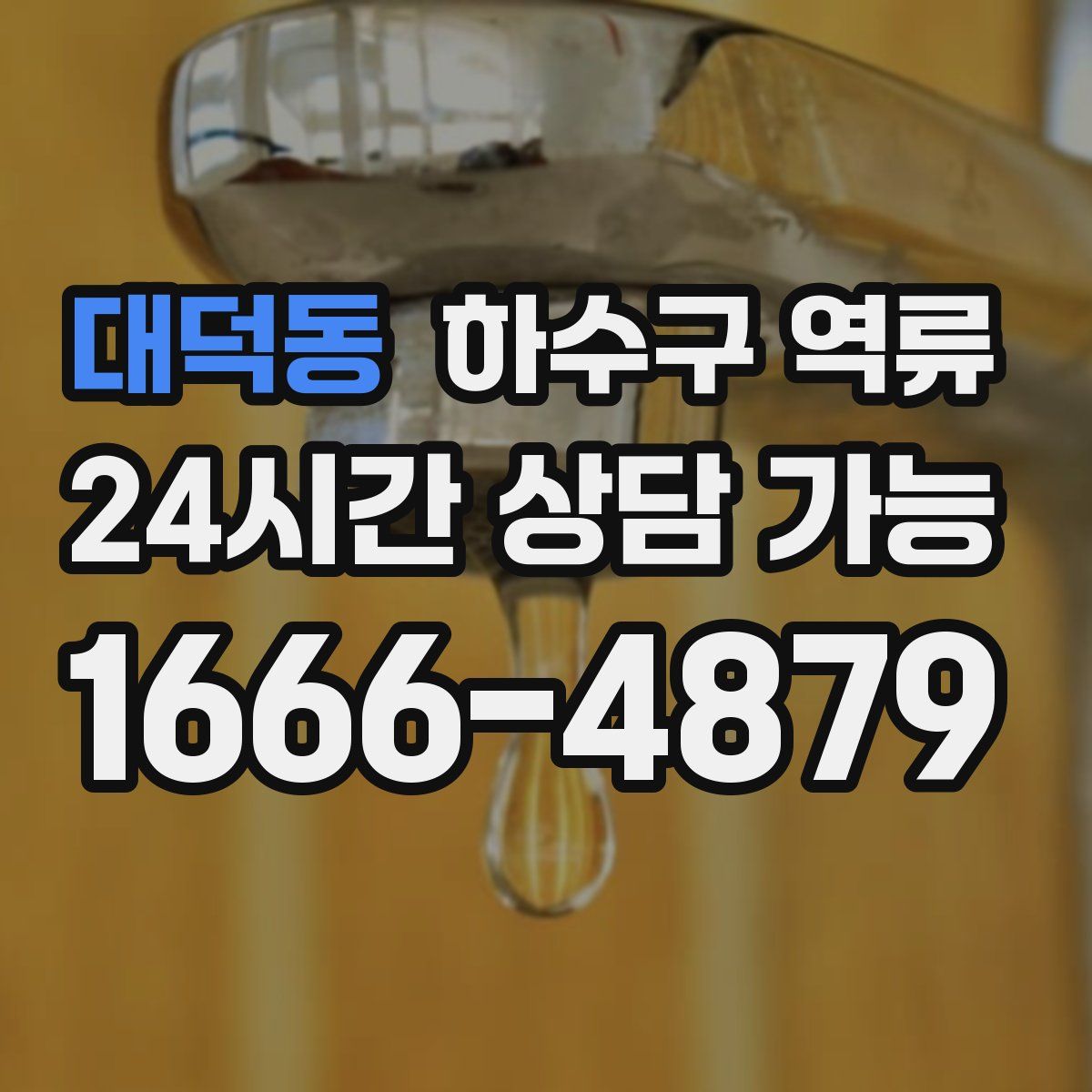 대덕동 하수구 역류