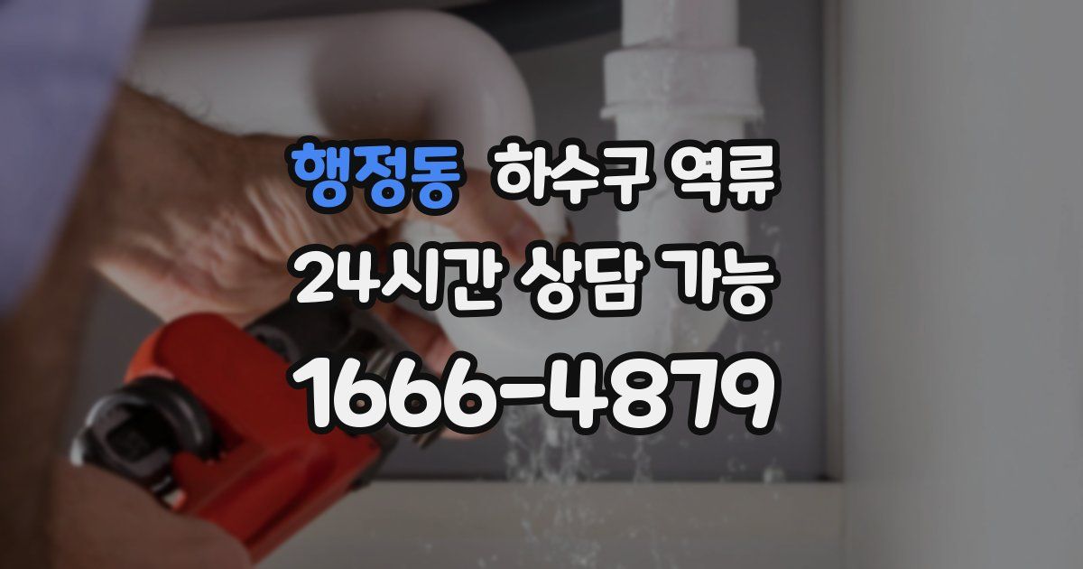 행정동 하수구 역류