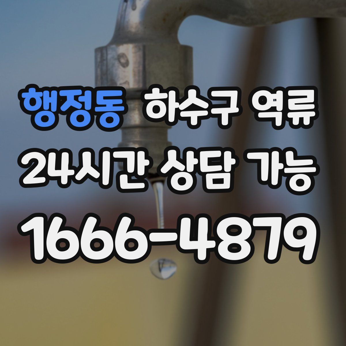 행정동 하수구 역류