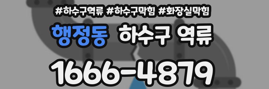 행정동 하수구 역류