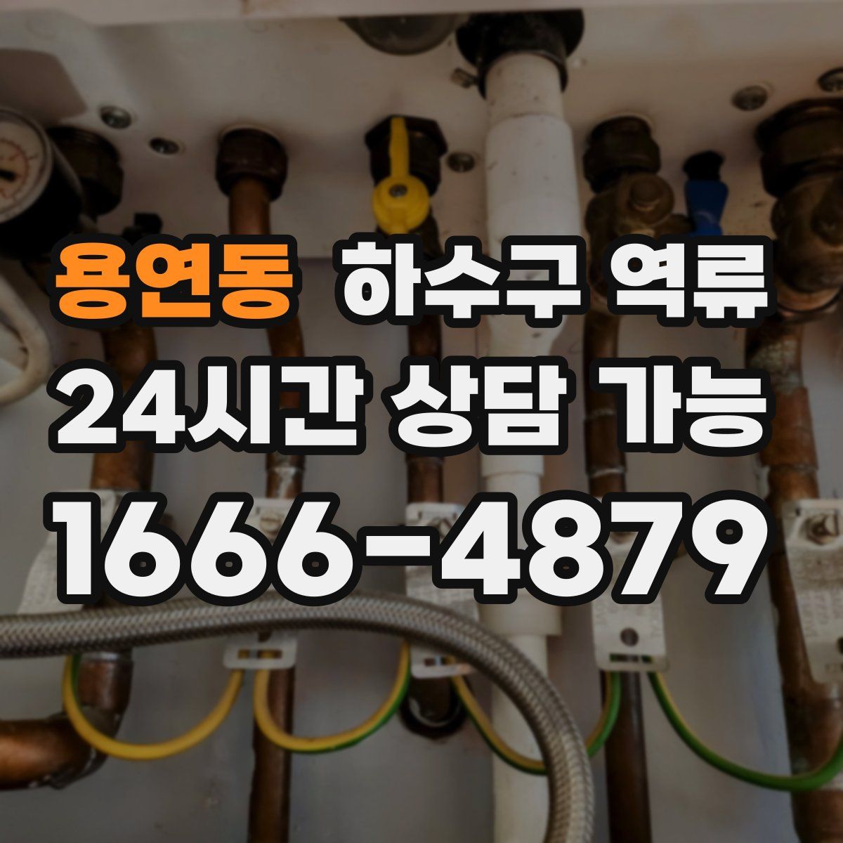 용연동 하수구 역류