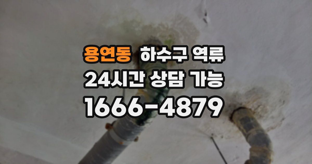 용연동 하수구 역류