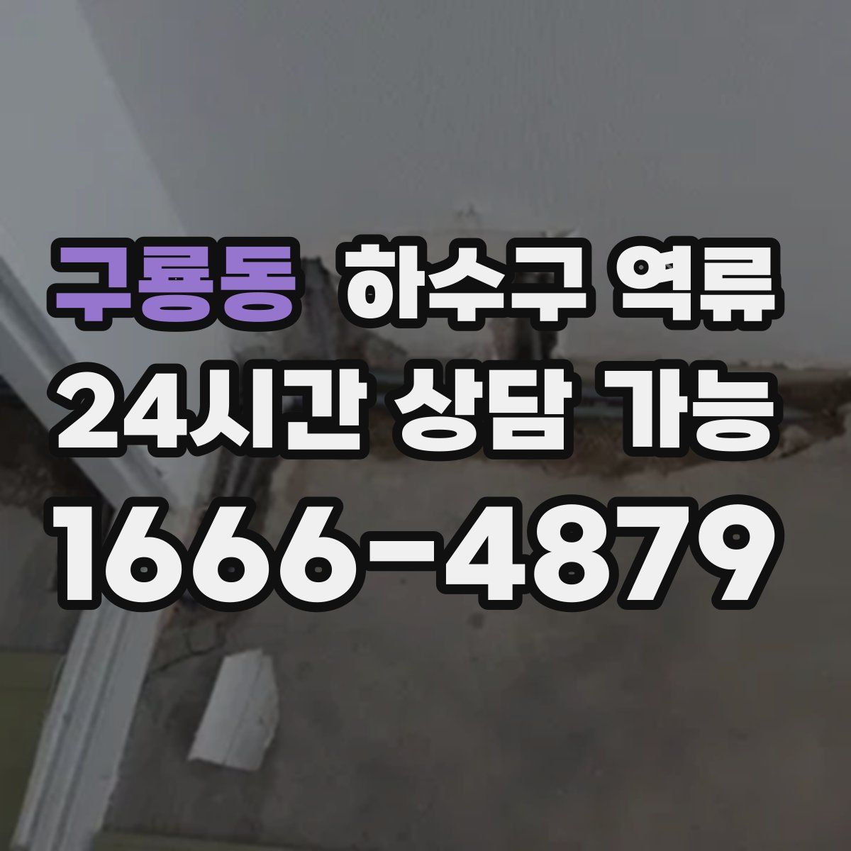 구룡동 하수구 역류