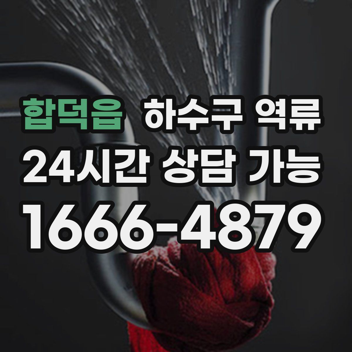 합덕읍 하수구 역류