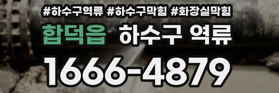 합덕읍 하수구 역류
