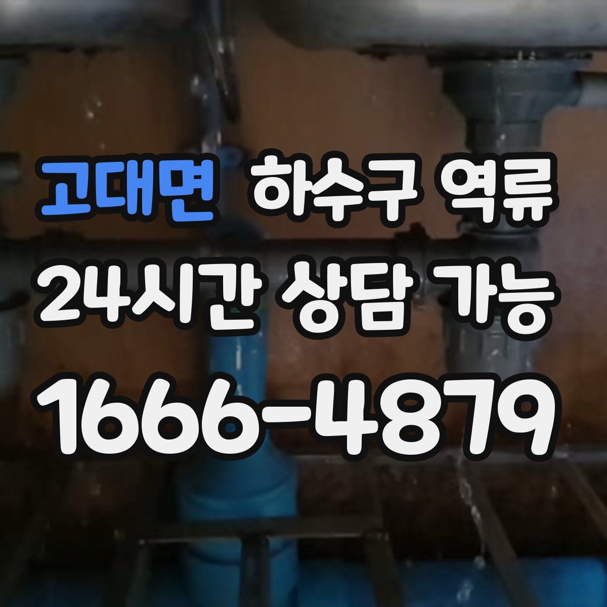 고대면 하수구 역류