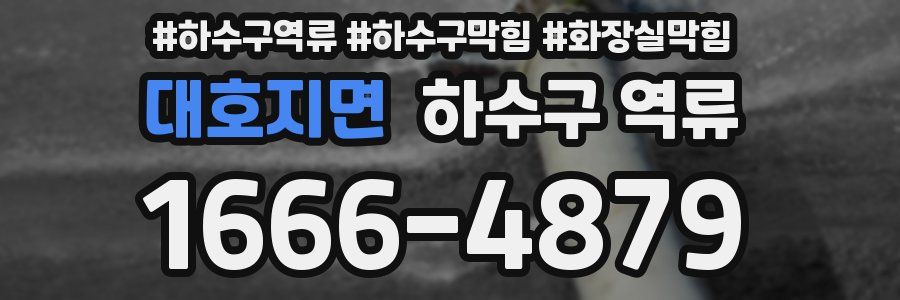 대호지면 하수구 역류