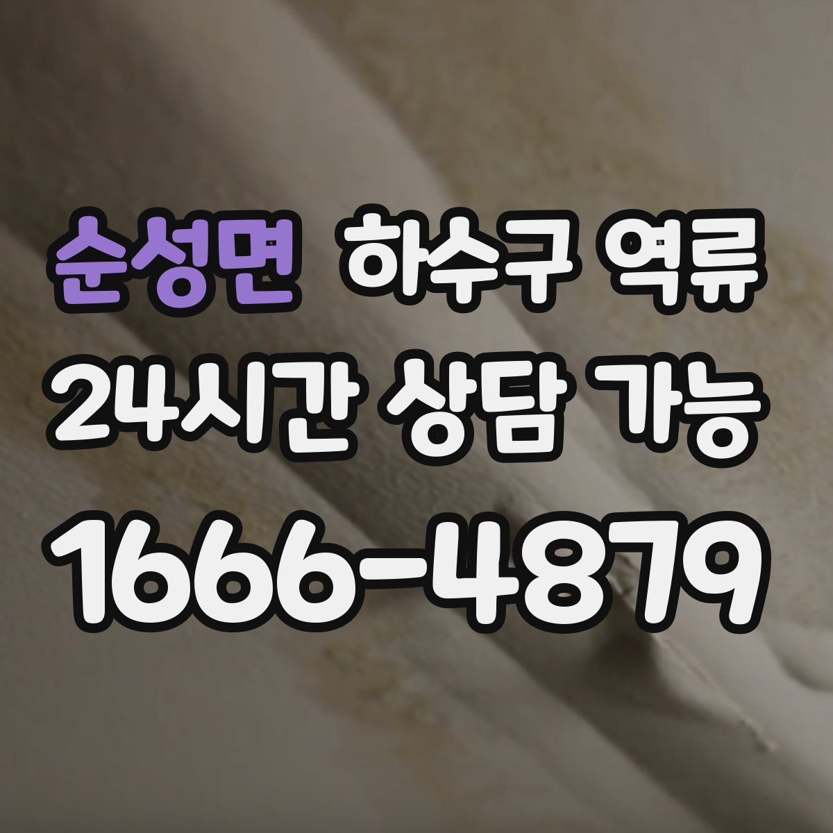 순성면 하수구 역류