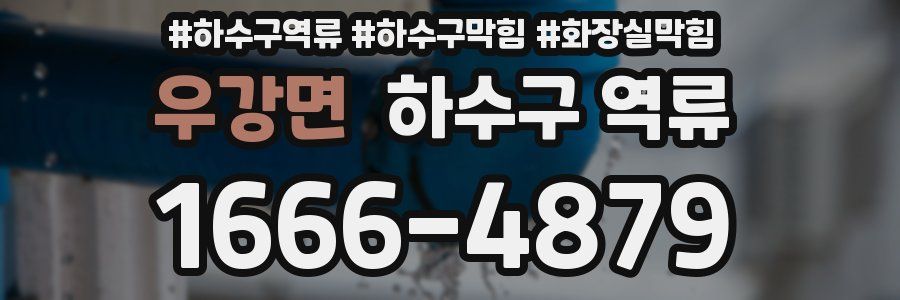 우강면 하수구 역류