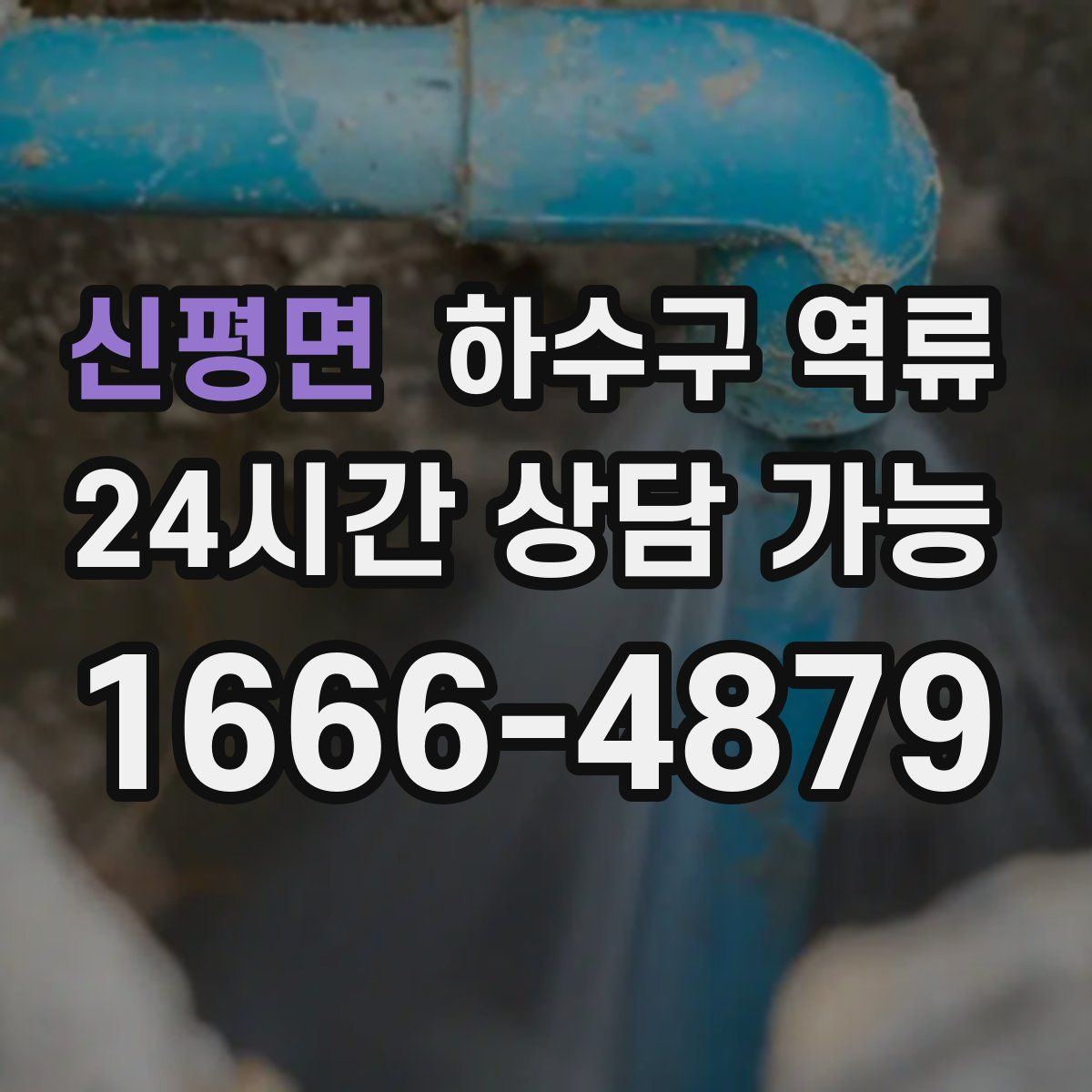 신평면 하수구 역류