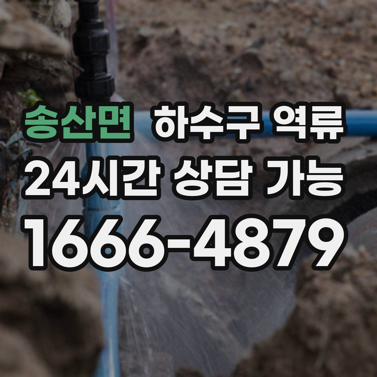 송산면 하수구 역류