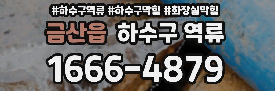 금산읍 하수구 역류