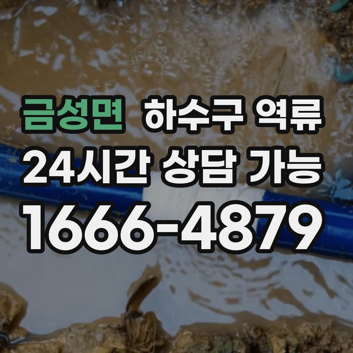 금성면 하수구 역류