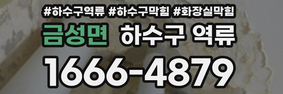 금성면 하수구 역류