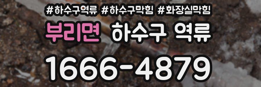 부리면 하수구 역류