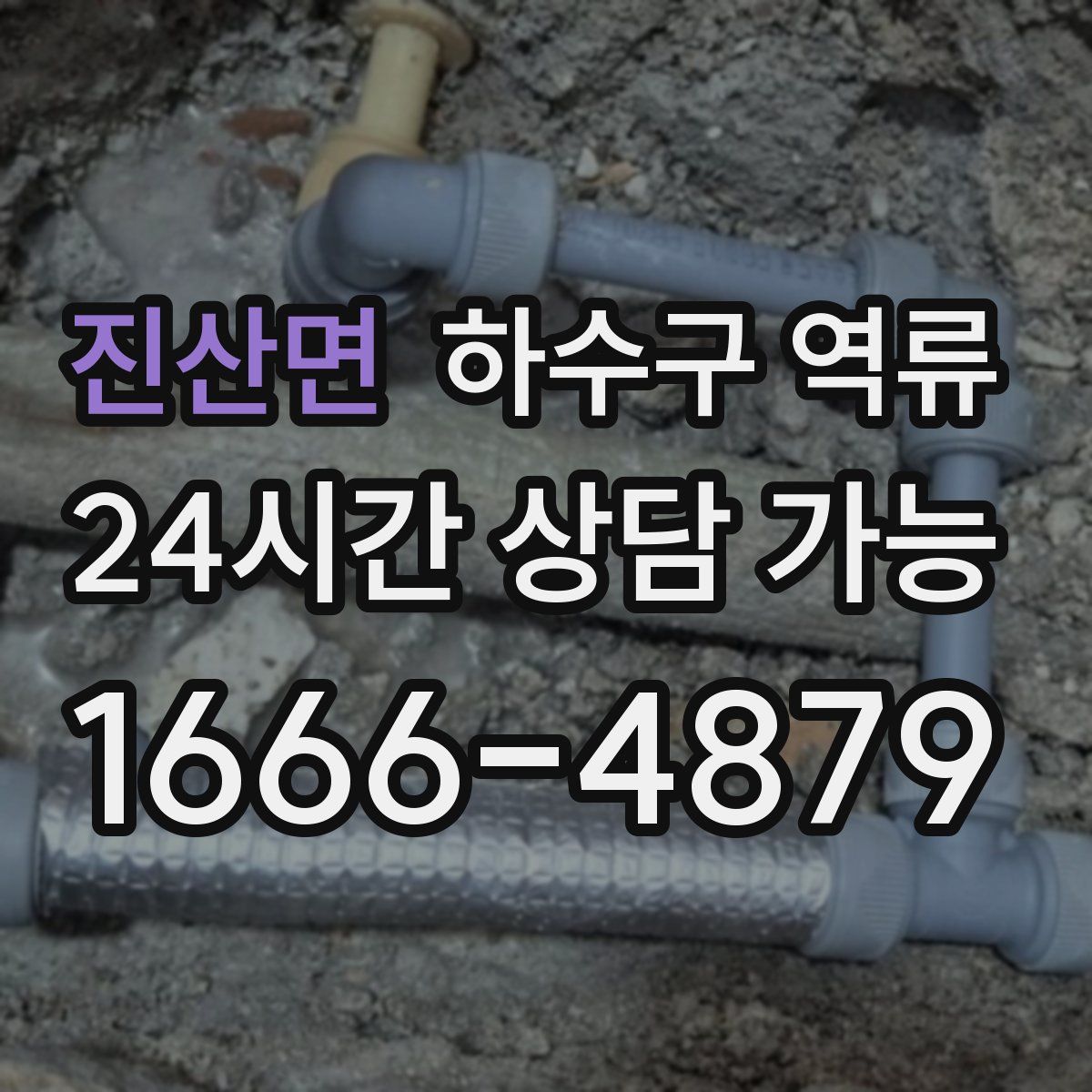 진산면 하수구 역류