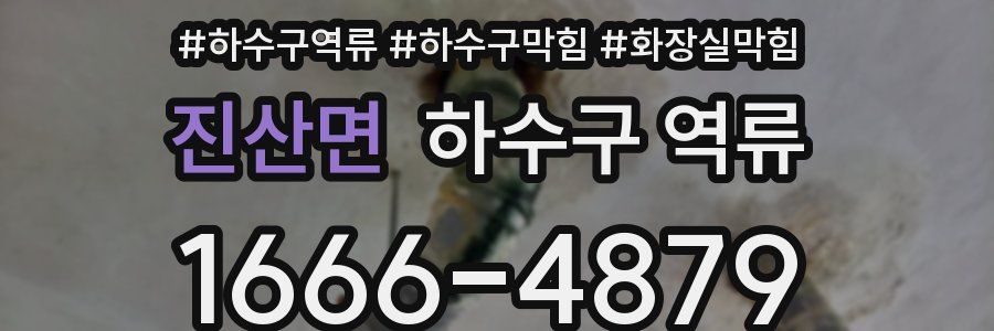 진산면 하수구 역류