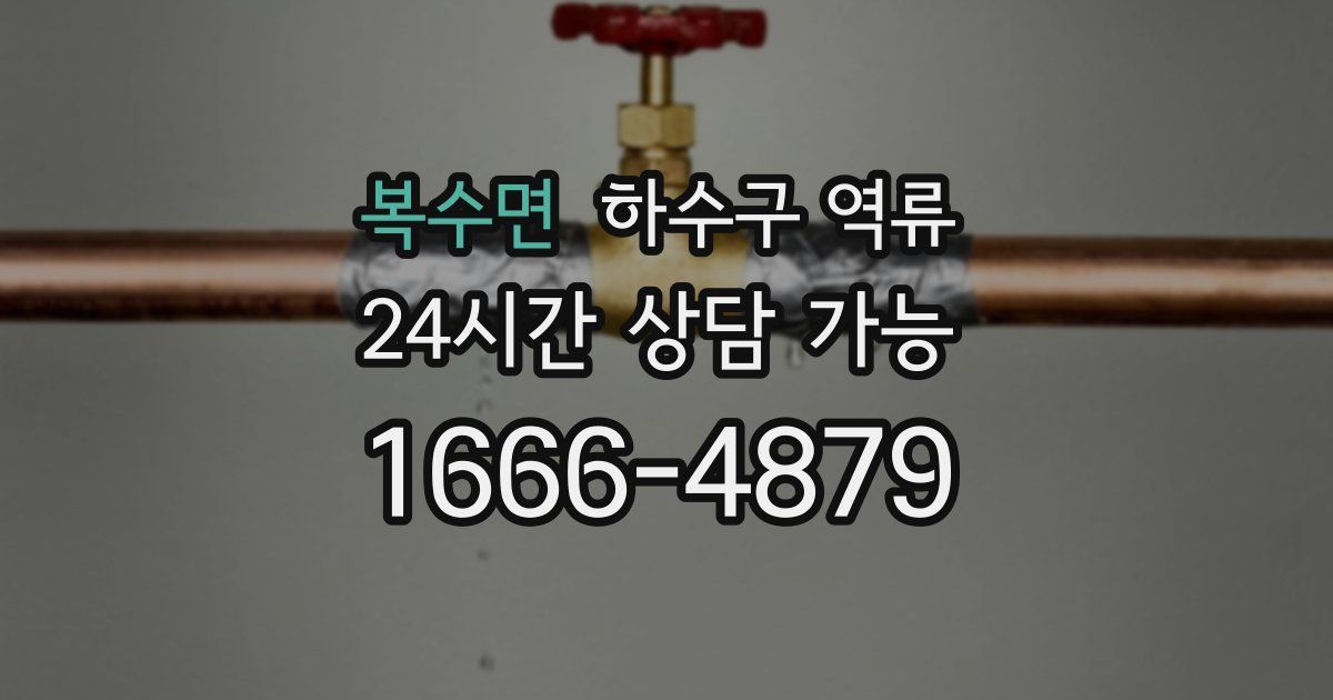 복수면 하수구 역류