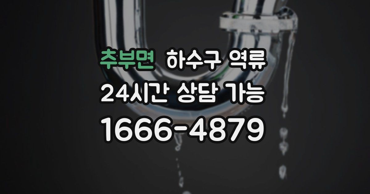 추부면 하수구 역류